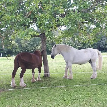 Maison A La Campagne Dom wakacyjny *