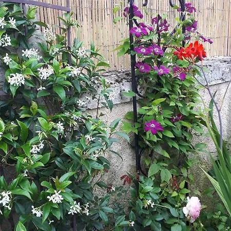 Maison A La Campagne Tatil Evi