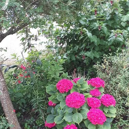 Maison A La Campagne * Blis-et-Born