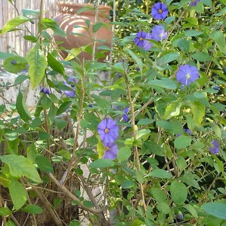 Maison A La Campagne Tatil Evi Blis-et-Born