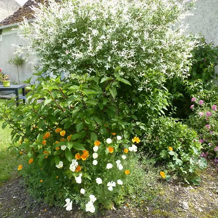 Dom wakacyjny Maison A La Campagne *