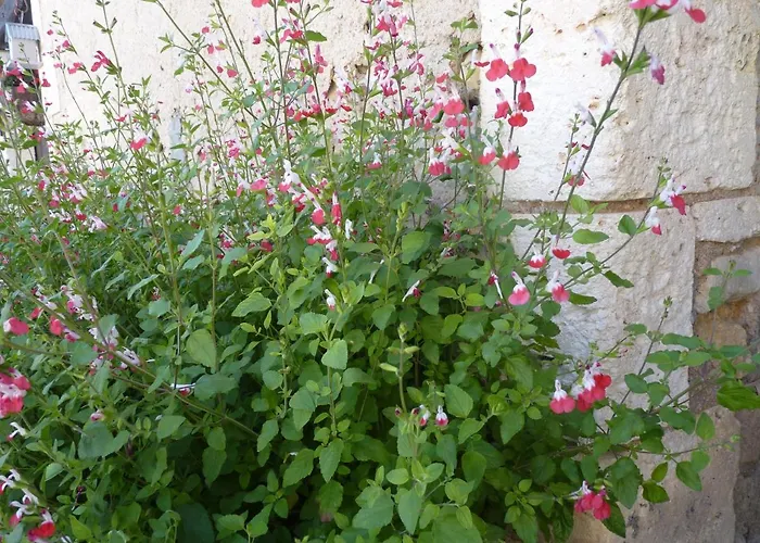 Nyaraló Maison A La Campagne *