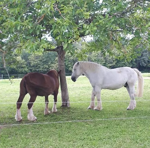 Maison A La Campagne Nyaraló *