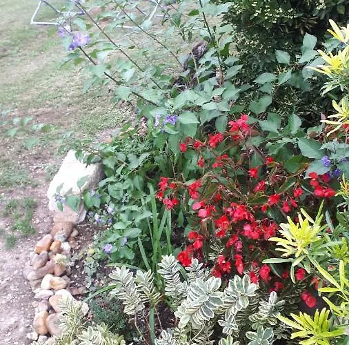 Maison A La Campagne * Blis-et-Born