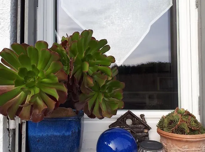 Feriehus Maison A La Campagne *