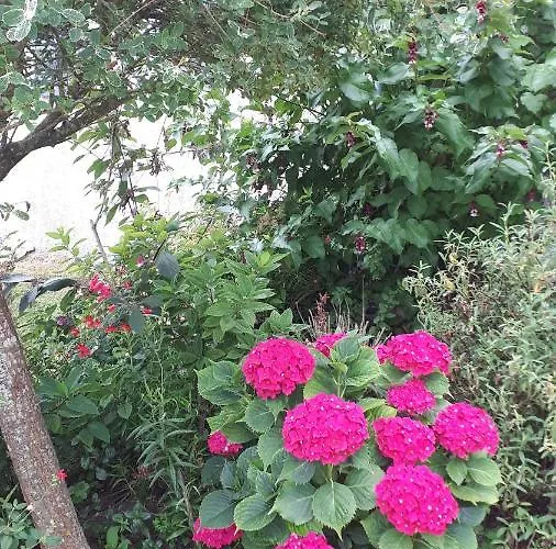 Maison A La Campagne * Blis-et-Born