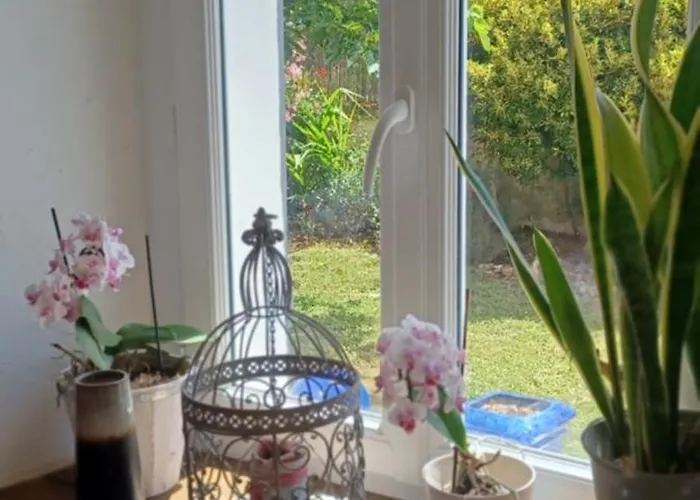 Maison A La Campagne Blis-et-Born