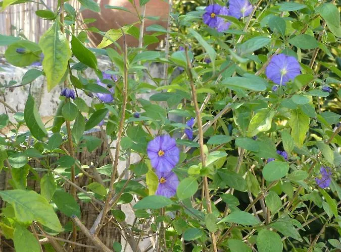 Maison A La Campagne Nyaraló Blis-et-Born